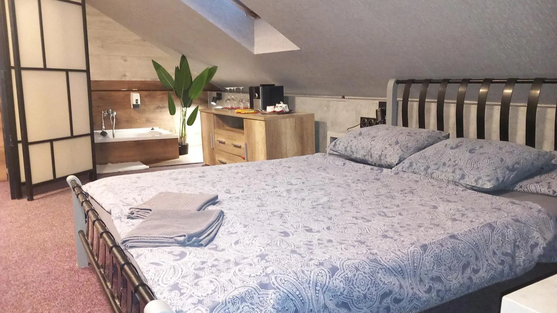 Guest house Penzion Vulture Ostrava