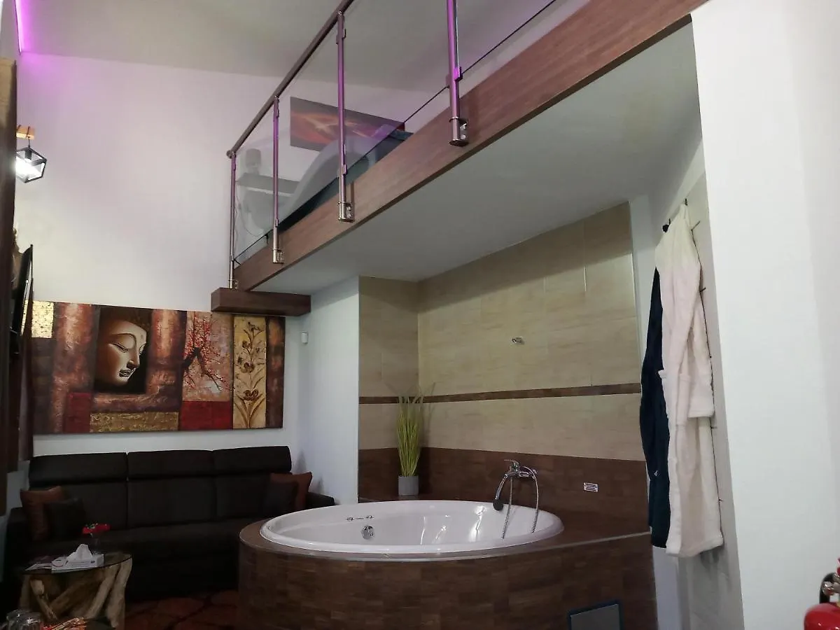 Guest house Penzion Vulture Ostrava Czech Republic